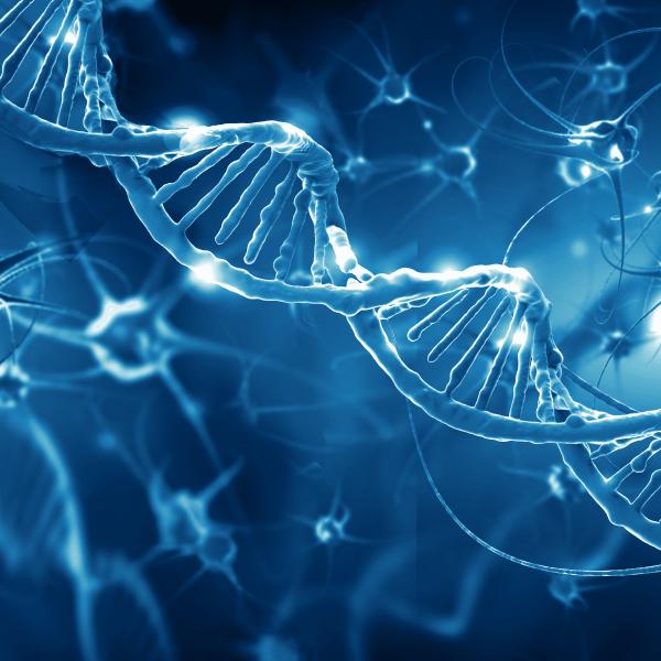 Abstract DNA Image