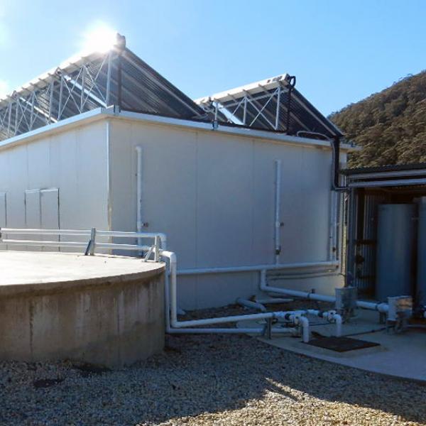 BioGill technology