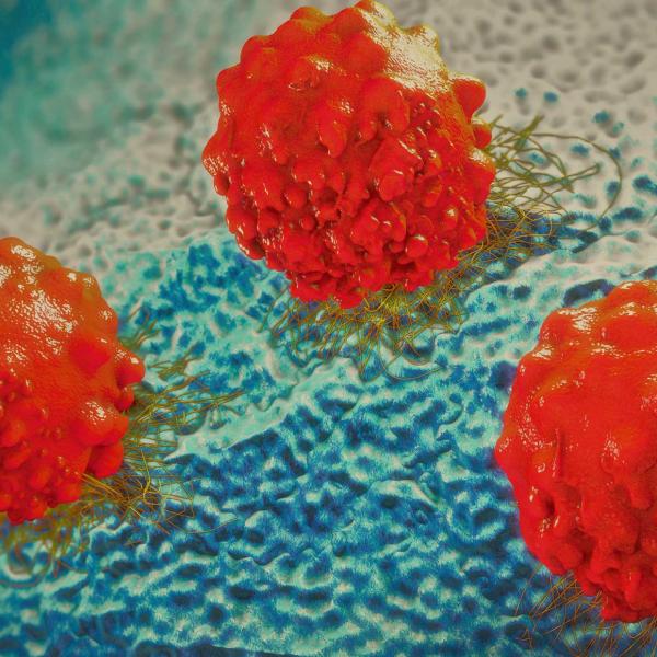 3D representation of cancer cells
