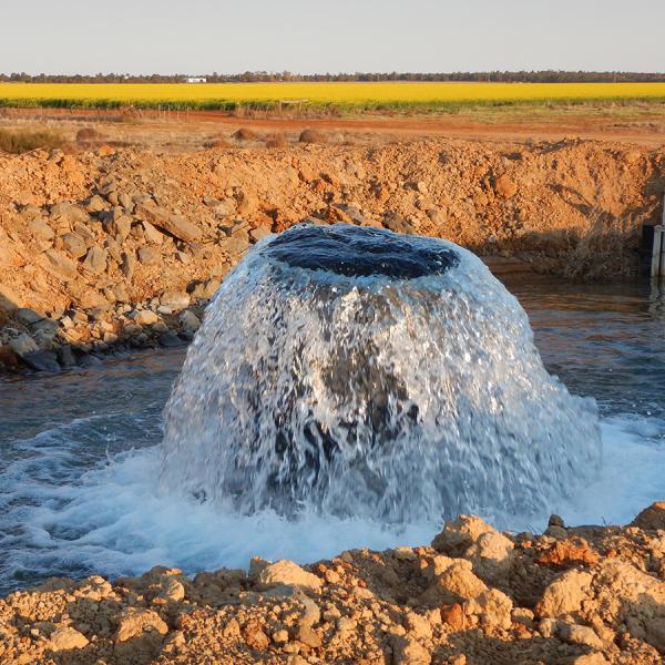 Groundwater Lower Murrumbidgee