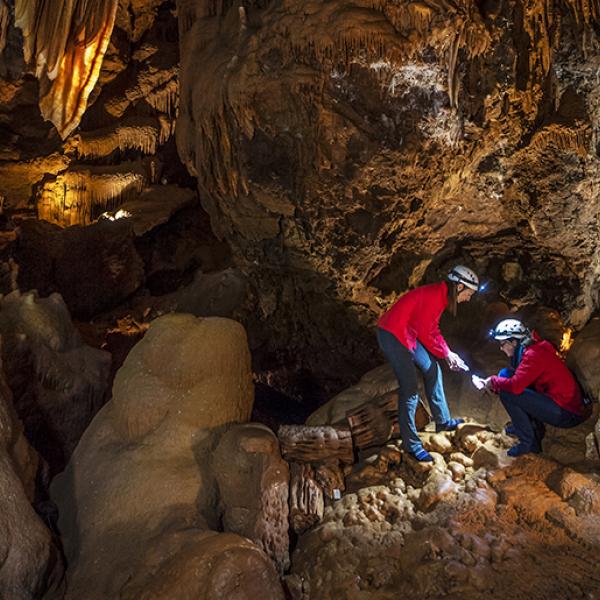 Jenolan caves