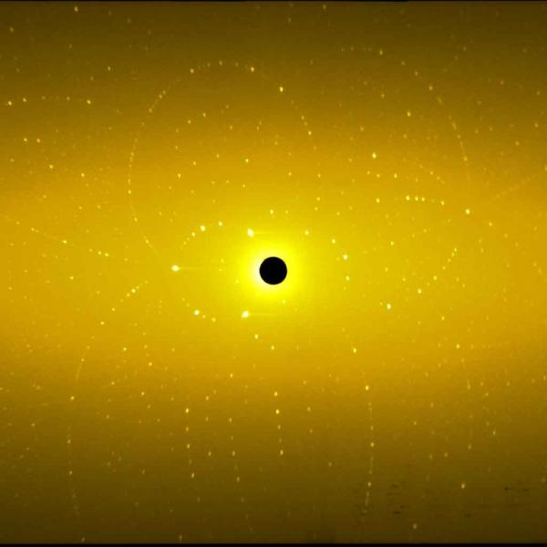 Koala diffraction pattern