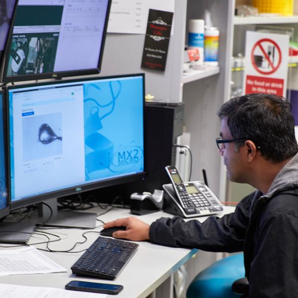 MX2 beamline