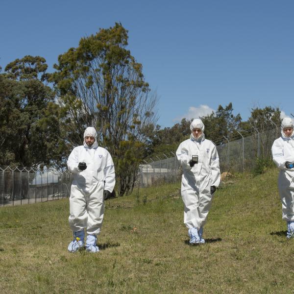 Radiation training