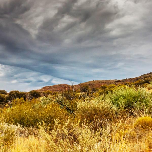 Rainfall Northern Territory
