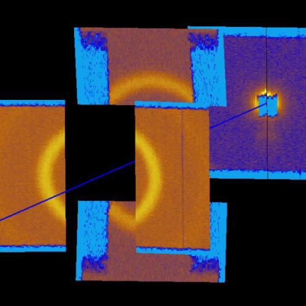 Bilby scattering pattern