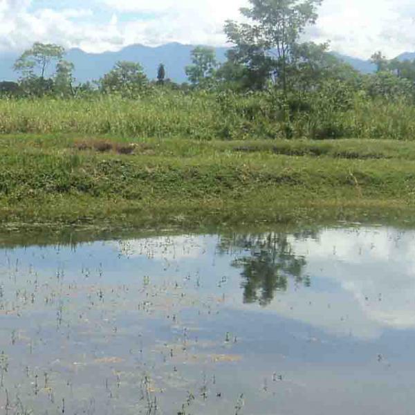 Aquaculture PNG