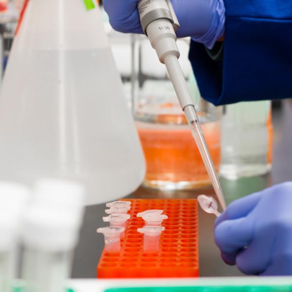 Pipette and eppendorf tubes