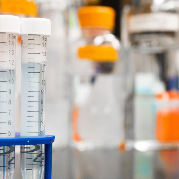 scientific glass and plasticware
