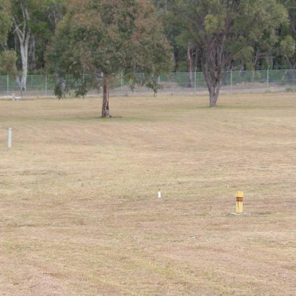 Little forest legacy site