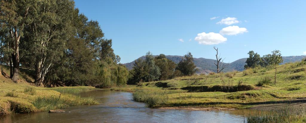 Landscape