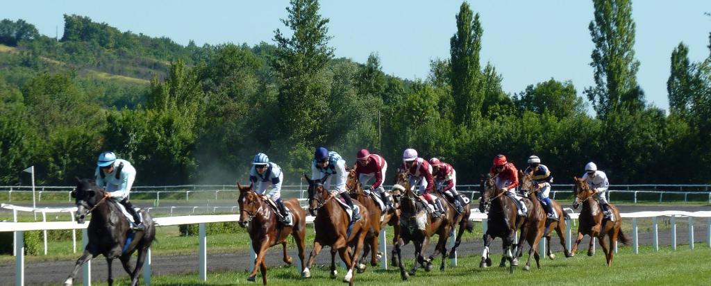 horse race