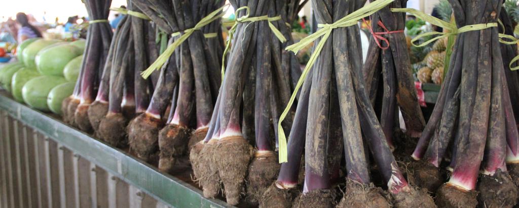 Yam crop