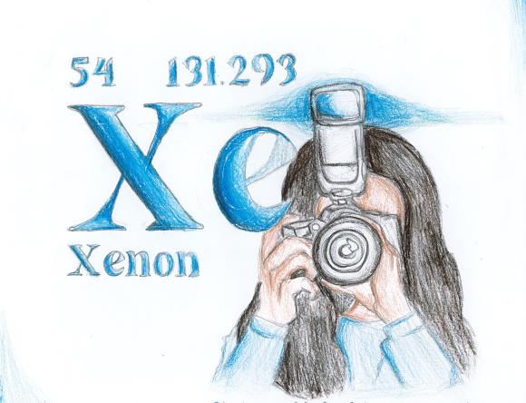 Runner Up: Year 8 - Kyrie M - Parkville - VIC