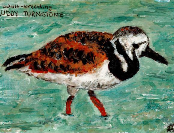 2nd Y5-6 Schools - Rubylee Q, Anzac Terrace Primary School, WA