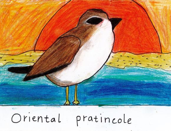 3rd Y3-4 Schools - Mira O, Kerrimuir Primary School, VIC