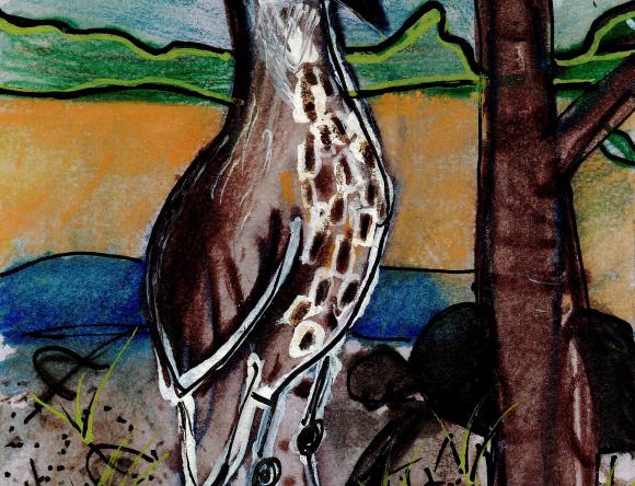 HC Y3-4 Individual - Angelo C, Lennox Head, NSW