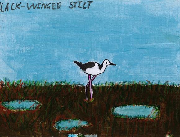 HC Y3-4 Individual - Georgia B, Annandale, NSW