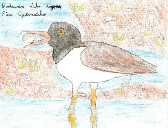 HC Y3-4 Schools - Mari K, St Michael's Daceyville, NSW