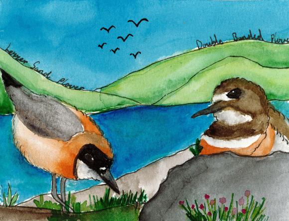 HC Y5-6 Individual - Hailey Z, Sandy Bay, TAS