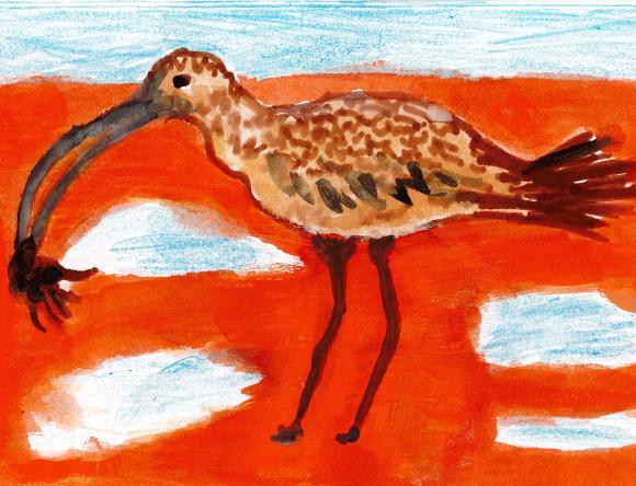 Rural Winner Y3-4 Individual - Louie F, Broome, WA