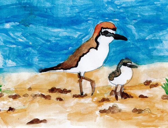 Rural Winner Y5-6 Schools - Alice T, King Island District High School, TAS