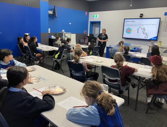 STEAM Club for girls Genetics session 1