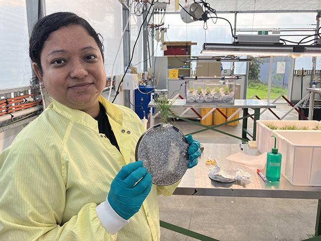 Fungi and root researcher Romika Shrestha