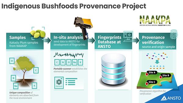 Indigenous bushfoods