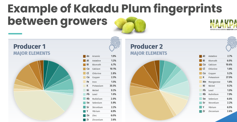 Kakadu plum fingerprints