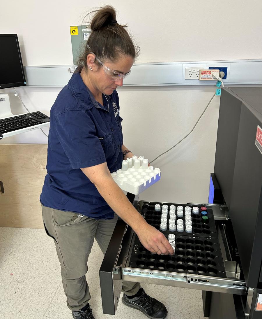 Loading samples