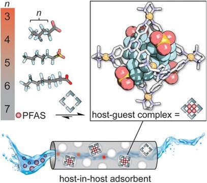PFAS cage